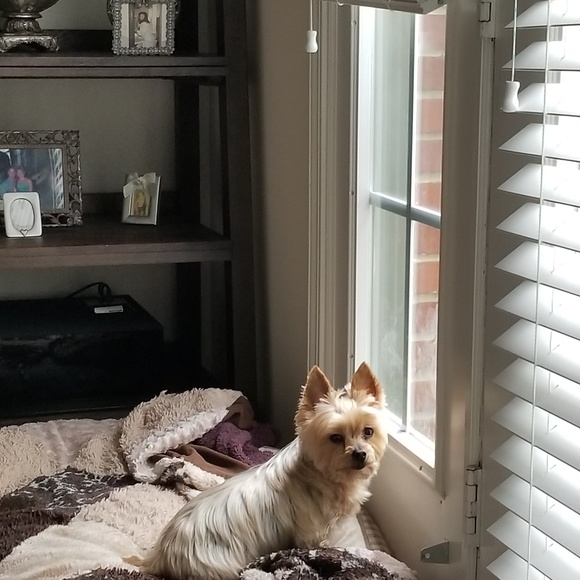 My Tazz - Picture 1 of 1